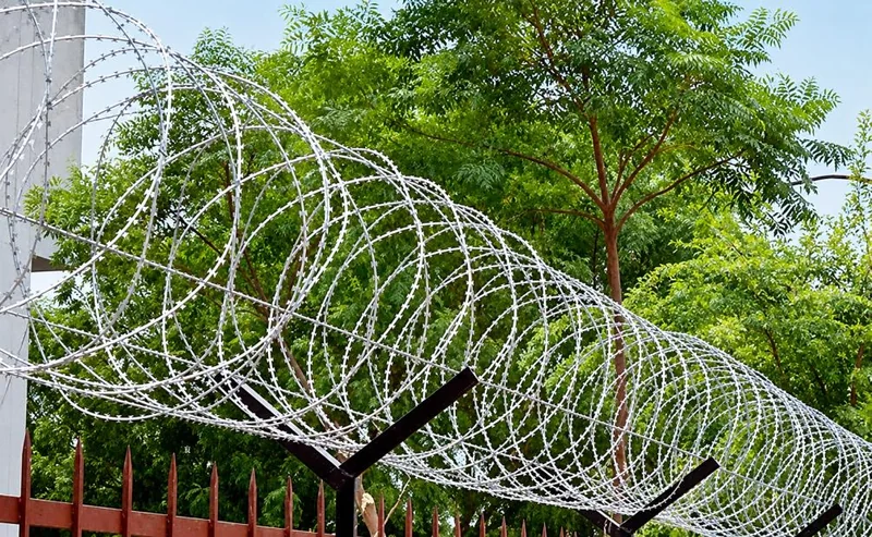 Perimeter wire and fencing detail